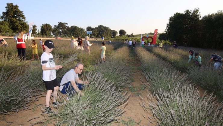 İzmit Belediyesi 2024 yılında da üretime yön verdi